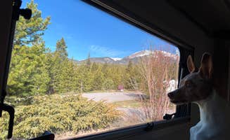 Mary H.'s photo of camping with pets at White River National Forest Heaton Bay Campground near Vail, CO