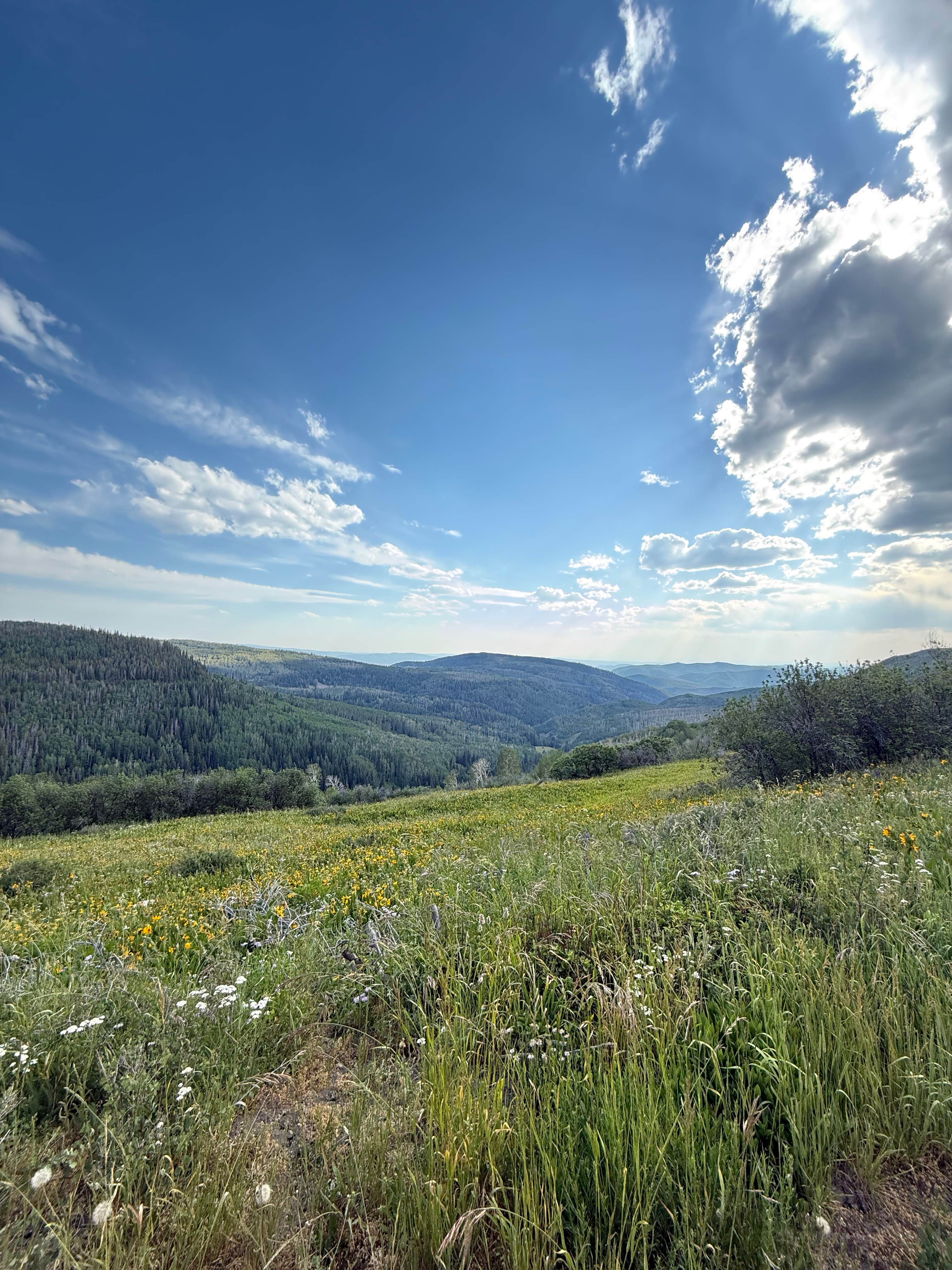 Camper-submitted photo at Yellowjacket Pass near Craig, CO