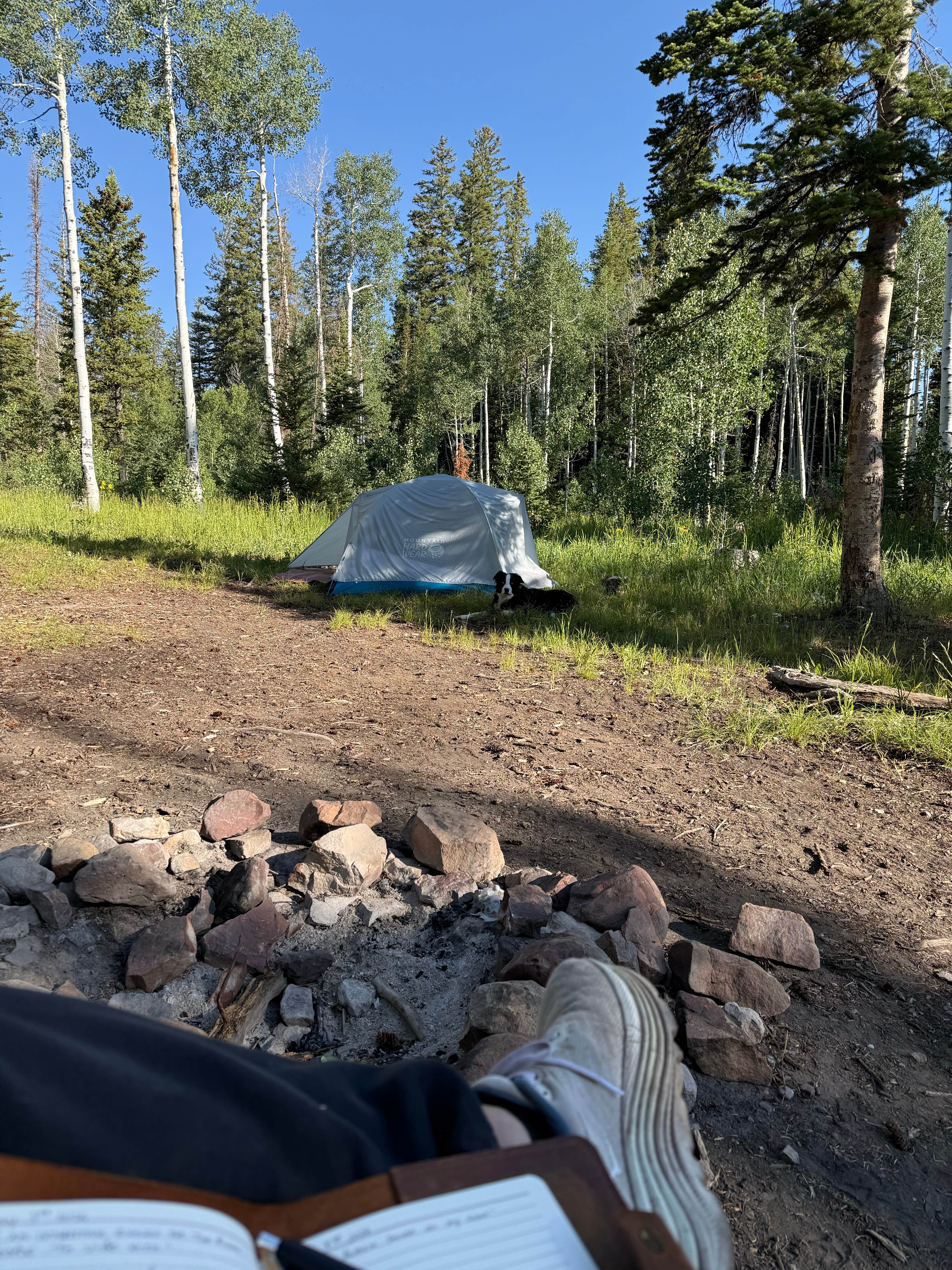 Camping near Trailhead Cabins And Lodging: Yellowjacket Pass, Meeker, Colorado