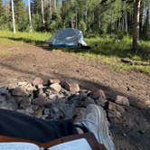 Review photo of Yellowjacket Pass by Tyler W., July 6, 2026
