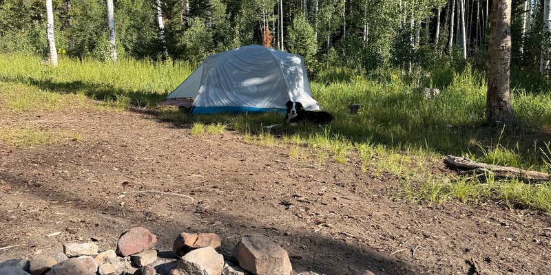 Camper submitted image from Yellowjacket Pass