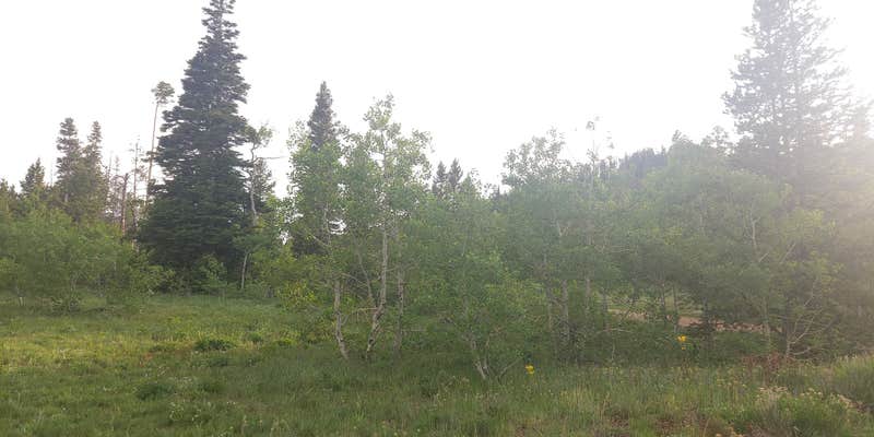 Camper submitted image from White Rock Canyon Dispersed Site