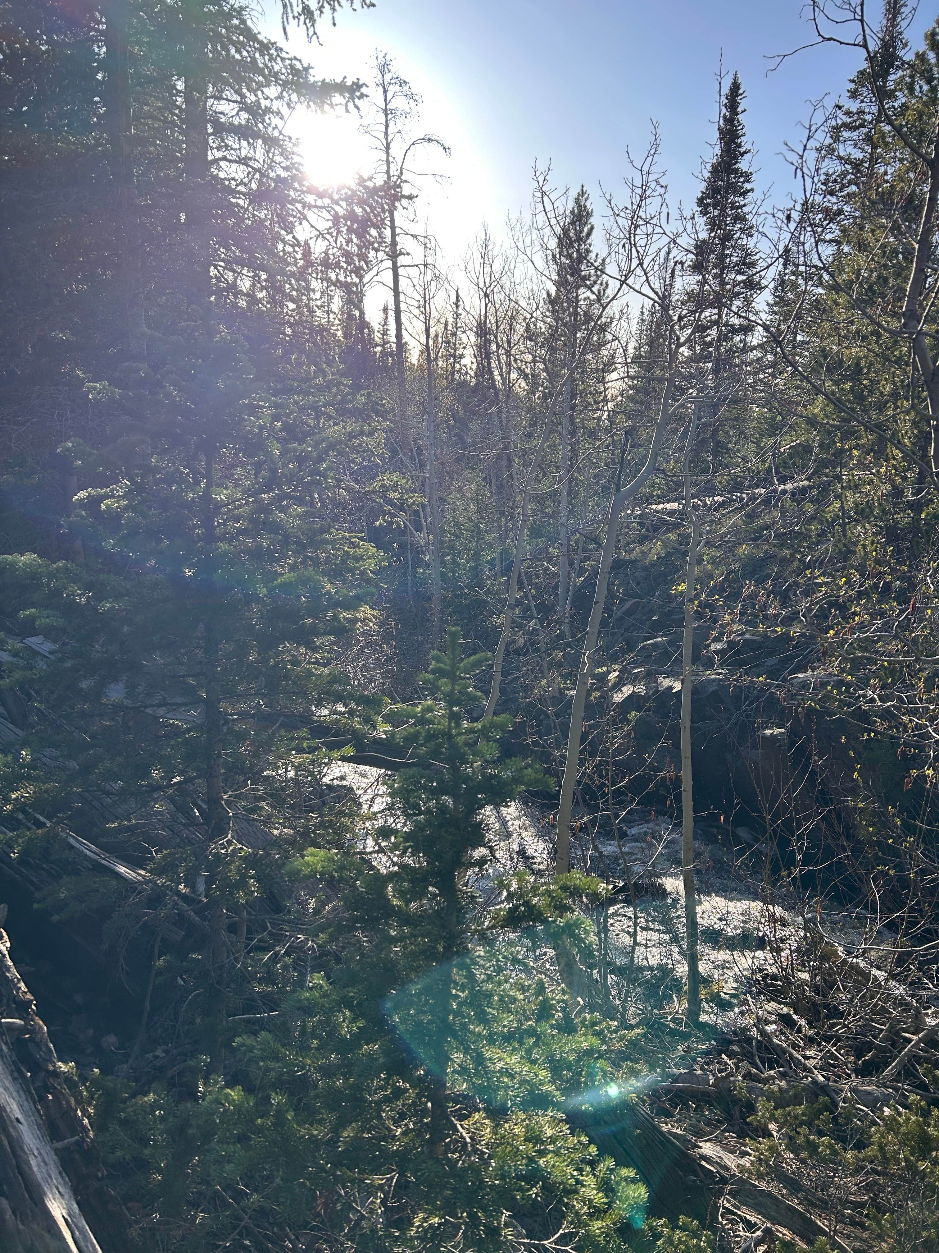 Camper submitted image from White Rock Canyon  Dispersed Site - 4