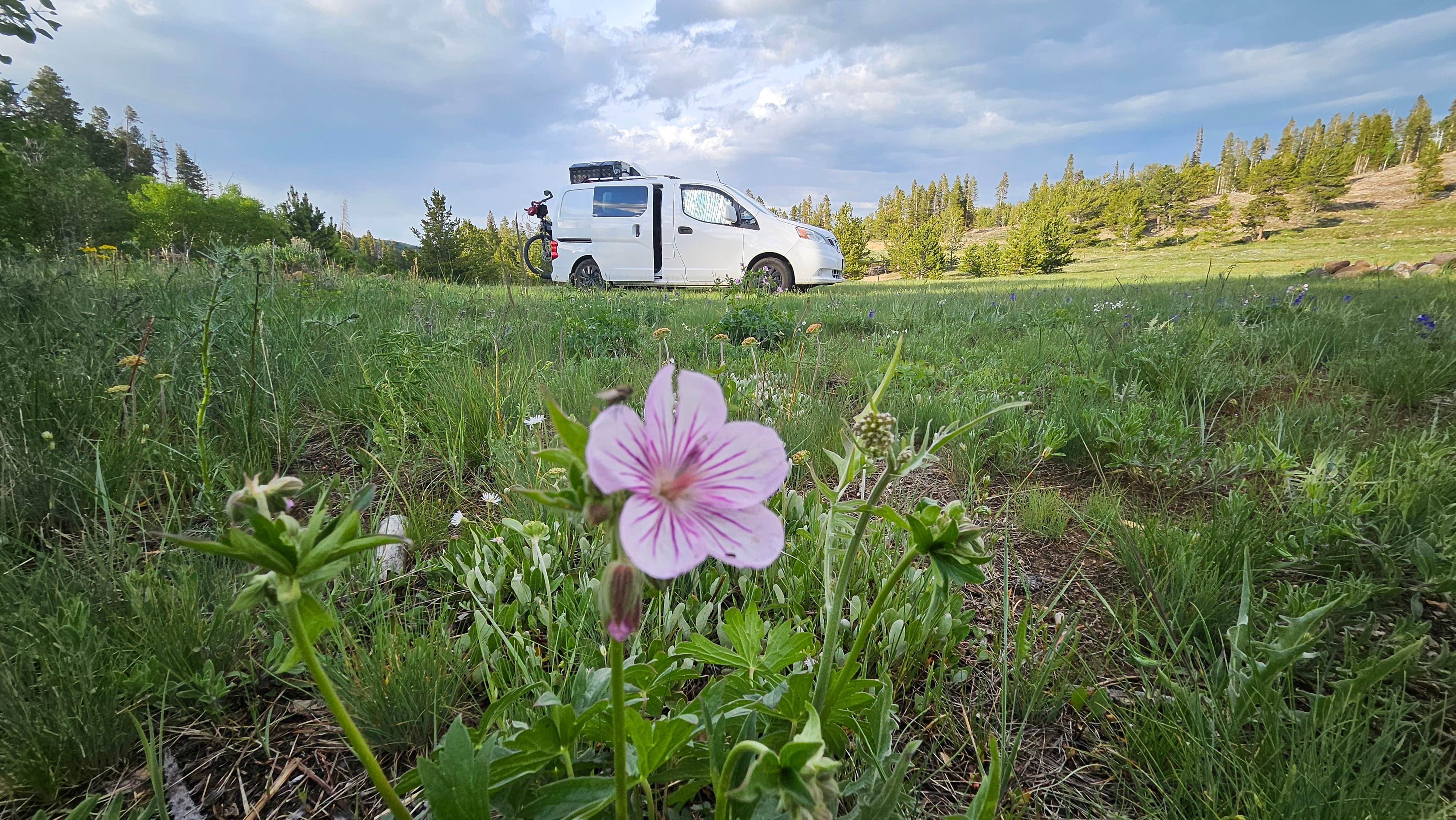 Camper-submitted photo at White Rock Canyon  Dispersed Site near Elk Mountain, WY