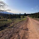 Review photo of White Rock Canyon  Dispersed Site by Makenzie S., June 4, 2025