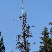 Review photo of White Sand Forest Service Campground by Katie D., July 20, 2026