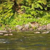Review photo of White Sand Forest Service Campground by Katie D., July 20, 2026