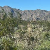 Review photo of White Tank Mountain Regional Park by Alisa P., December 9, 2025