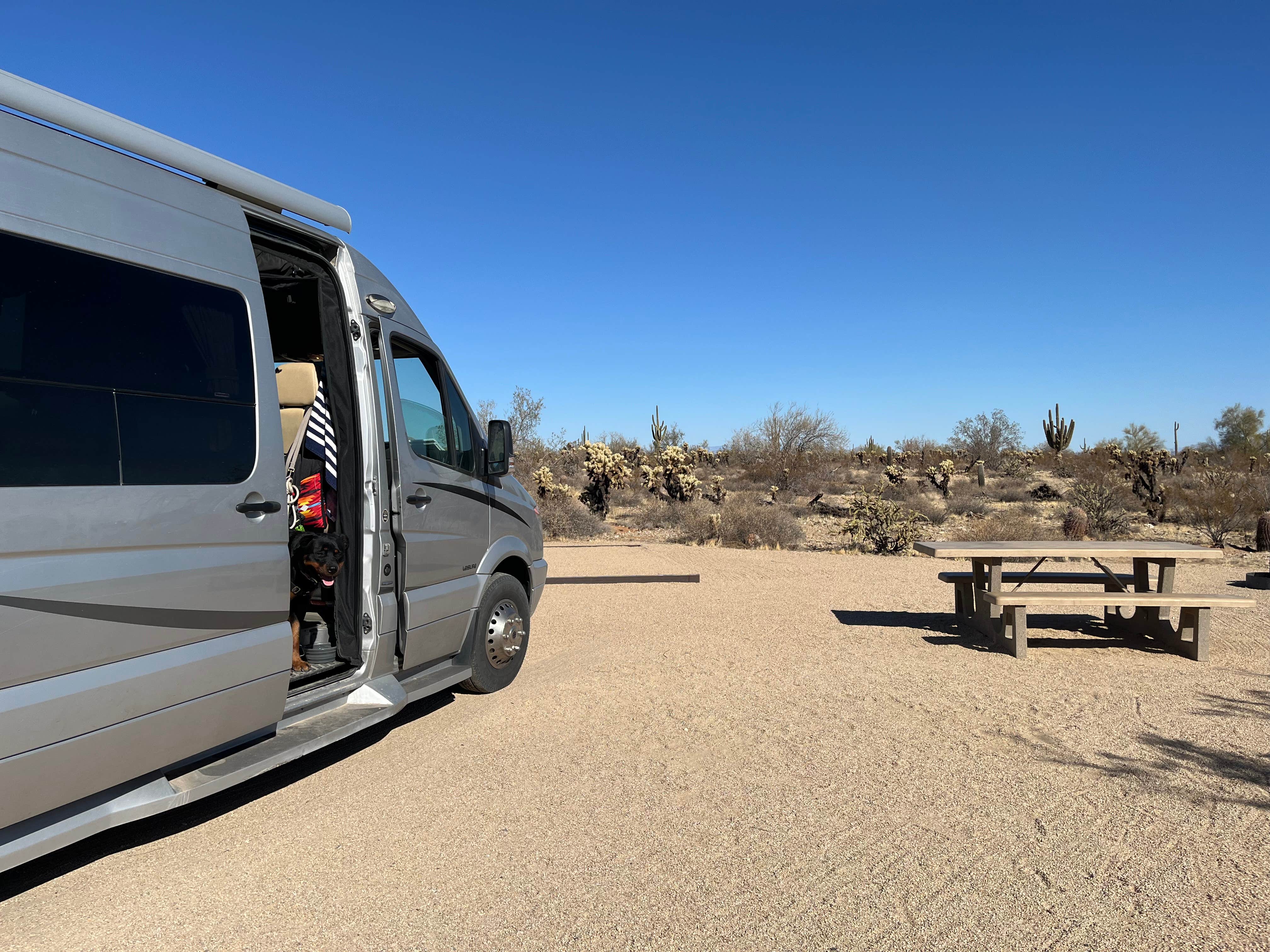 Teresa A.'s photo of camping with pets at White Tank Mountain Regional Park near Wickenburg, AZ