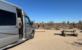 Teresa A.'s photo of camping with pets at White Tank Mountain Regional Park near Buckeye, AZ
