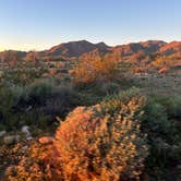 Review photo of White Tank Mountain Regional Park by Alisa P., December 9, 2025