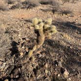 Review photo of White Tank Mountain Regional Park by Teresa A., January 15, 2025