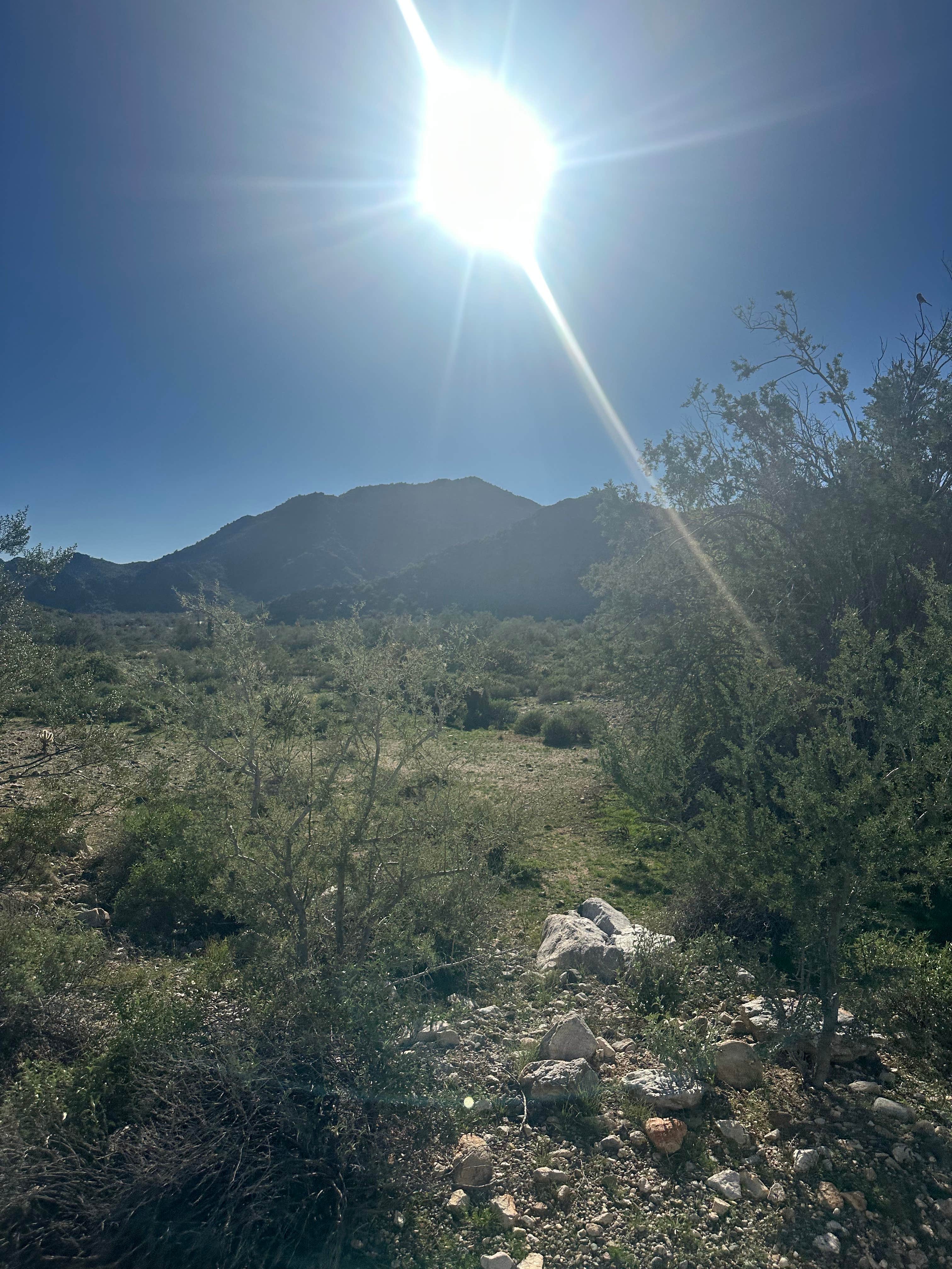 Camper-submitted photo at White Tank Mountain near Wickenburg, AZ