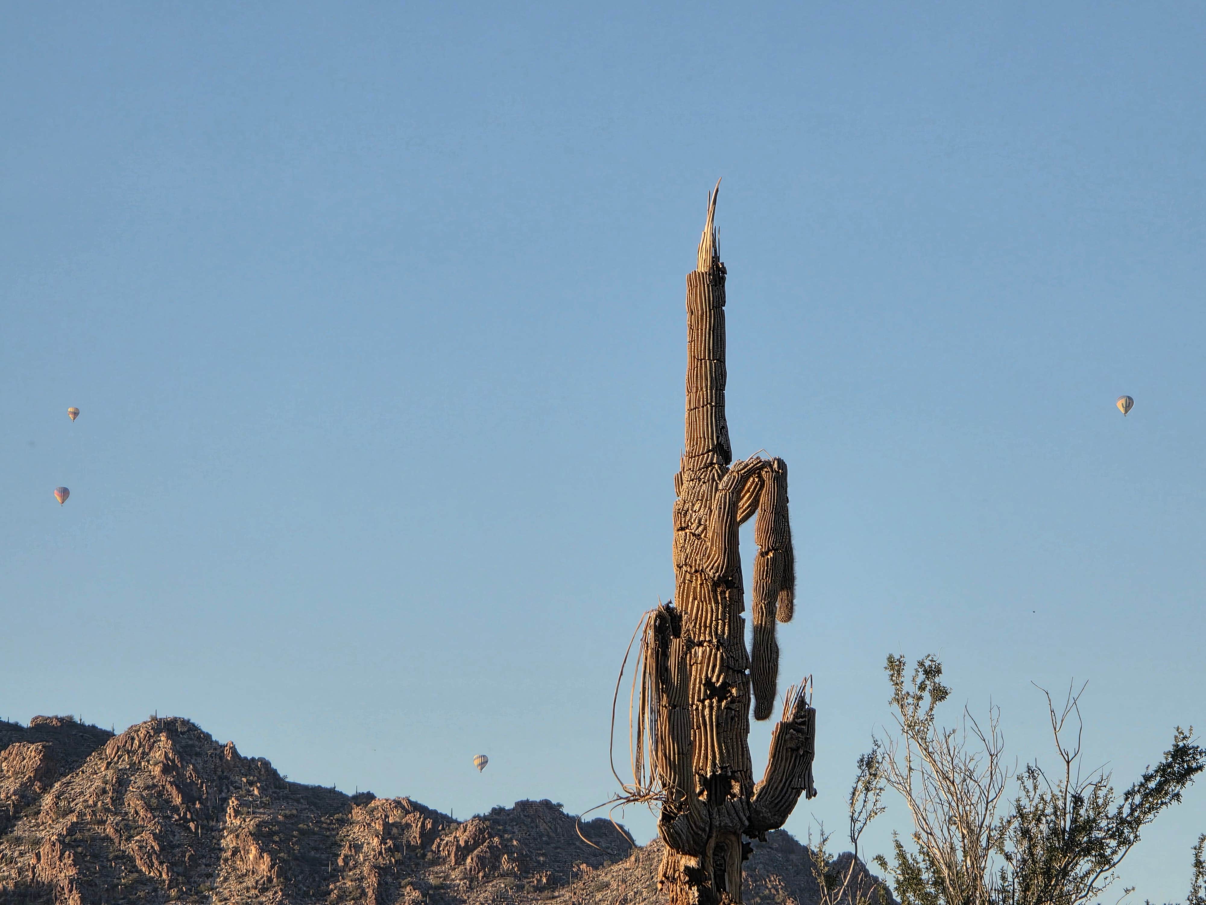 Camper-submitted photo at White Tank Mountain near Sun City, AZ