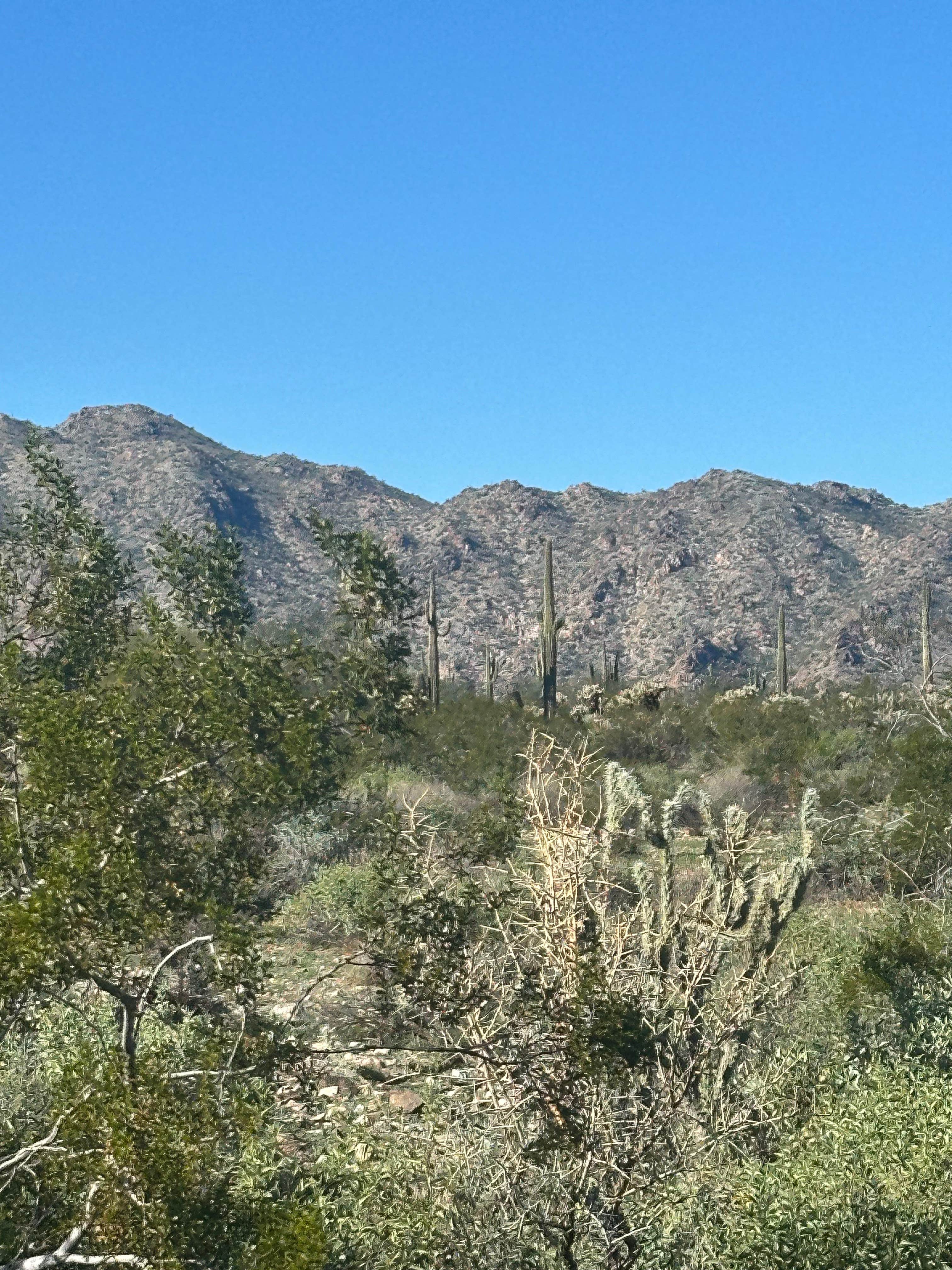 Camper-submitted photo at White Tank Mountain near Wickenburg, AZ