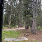 Review photo of White Wolf Campground — Yosemite National Park by Christina R., July 13, 2026