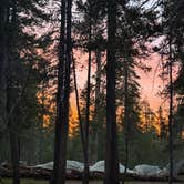 Review photo of White Wolf Campground — Yosemite National Park by Christina R., July 13, 2026