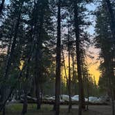 Review photo of White Wolf Campground — Yosemite National Park by Christina R., July 13, 2026