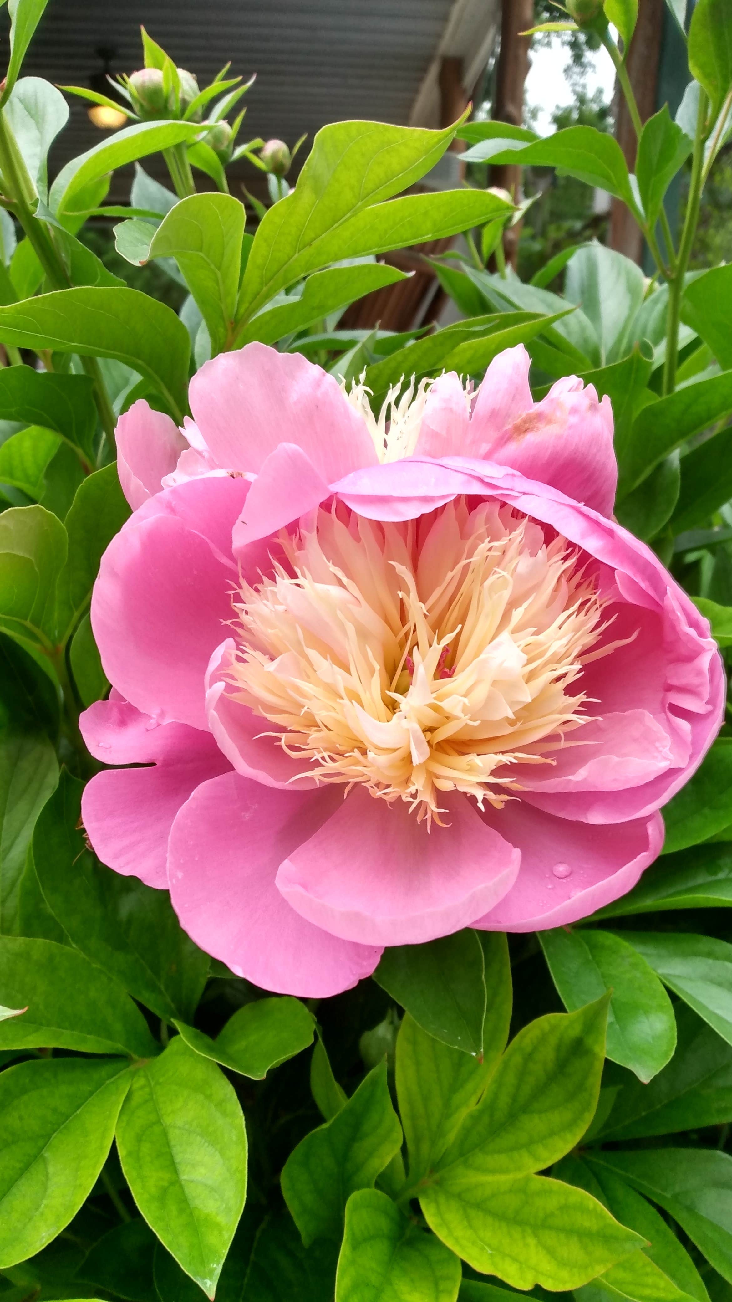 Camper-submitted photo at White Buffalo Resort near Norfork, AR