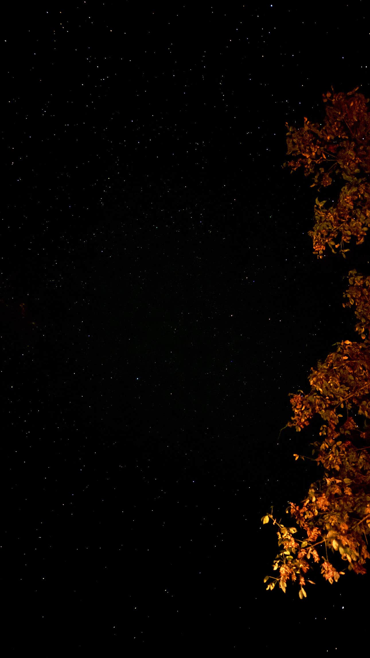 Camper-submitted photo at White Buffalo Resort near Norfork, AR