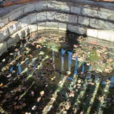 Review photo of Whitetail Campground, Boiling Springs State Park, Woodward, Oklahoma by Dana H., November 23, 2025