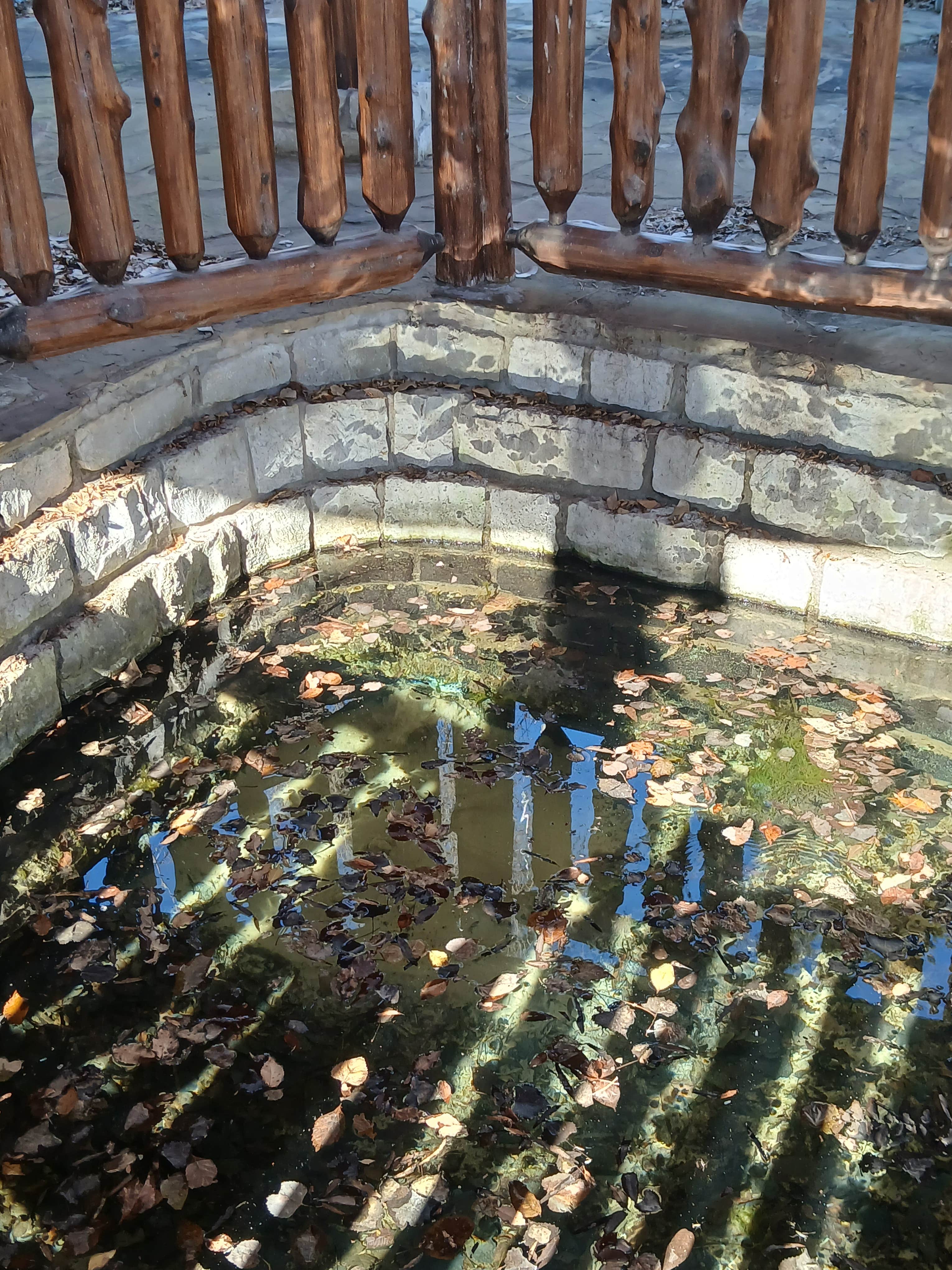 Camper submitted image from Whitetail Campground, Boiling Springs State Park, Woodward, Oklahoma - 3