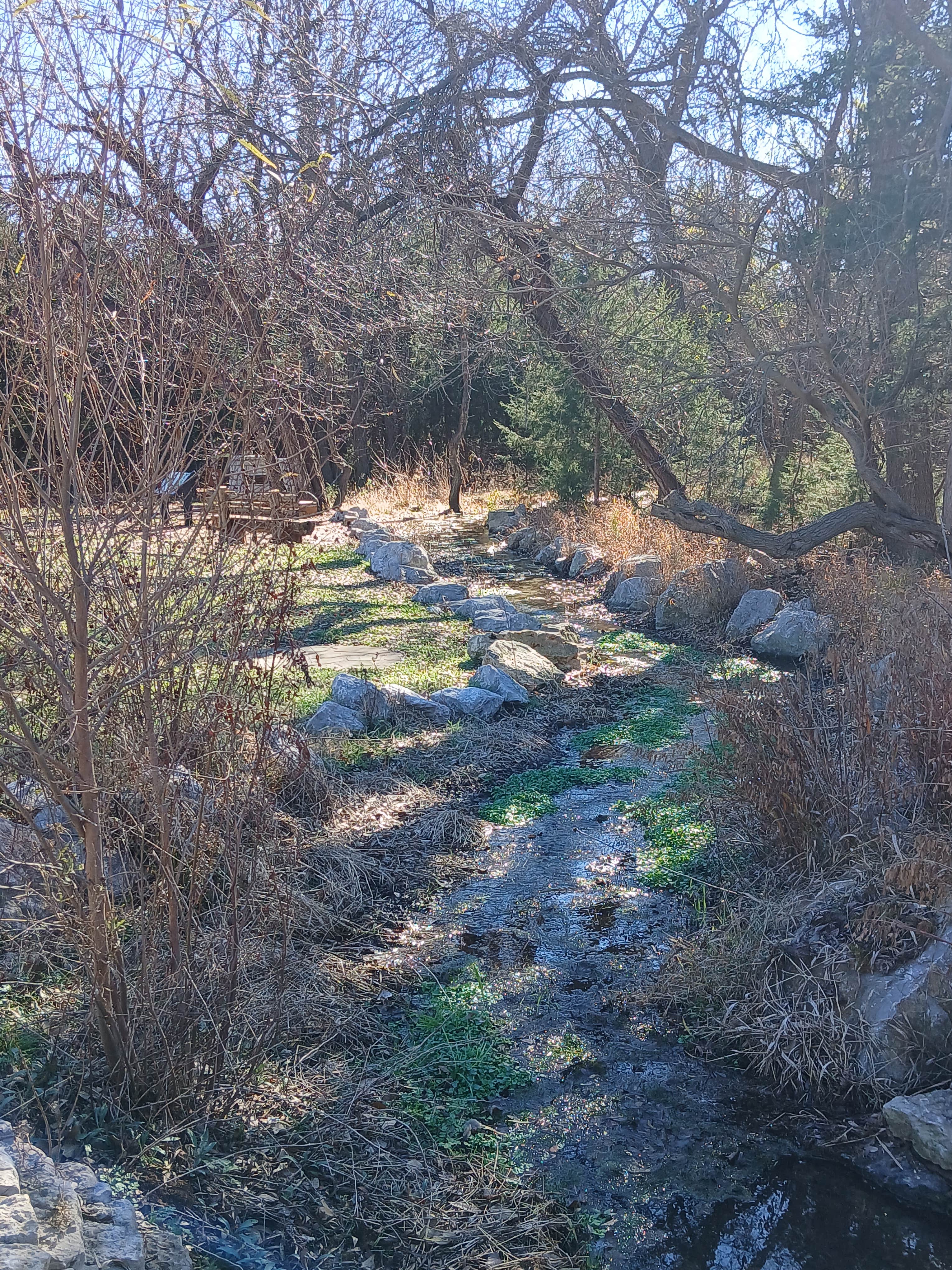Camper submitted image from Whitetail Campground, Boiling Springs State Park, Woodward, Oklahoma - 4