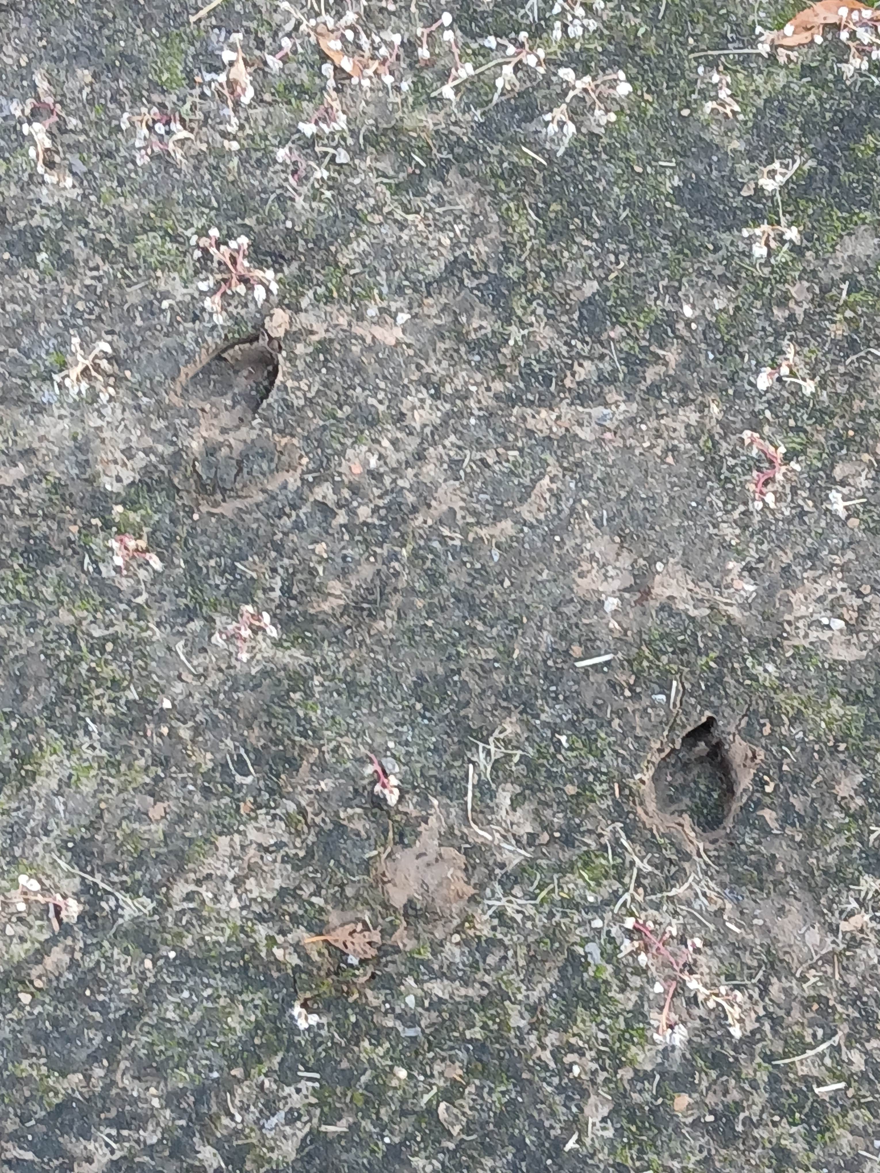 Camper-submitted photo at Whitetail Campground, Boiling Springs State Park, Woodward, Oklahoma near Fort Supply Lake