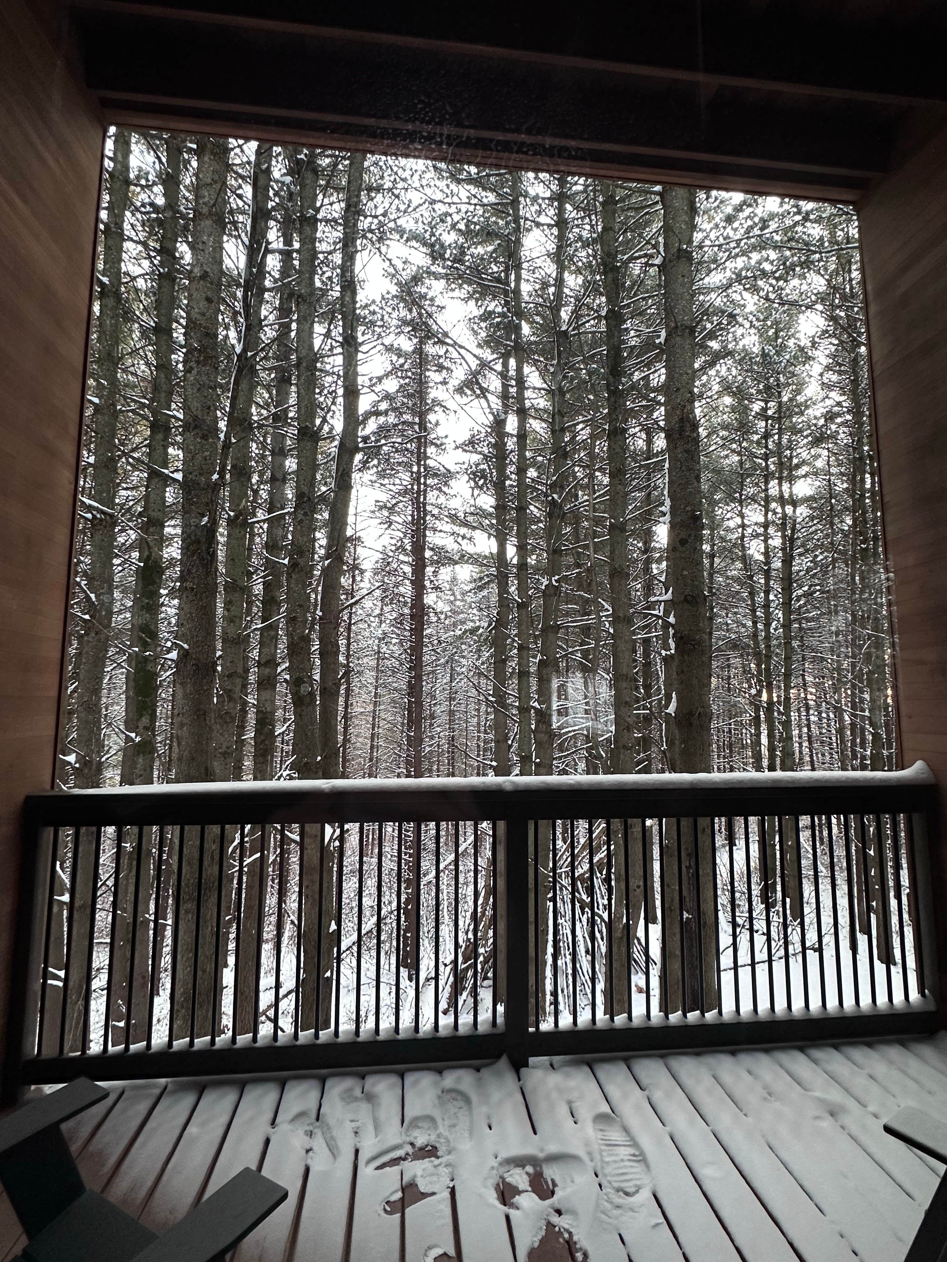 Camper-submitted photo at Whitetail Woods Camper Cabins near South Saint Paul, MN