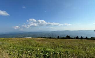 Harley G.'s photo of a dispersed camping area at Whitetop near Fries, VA