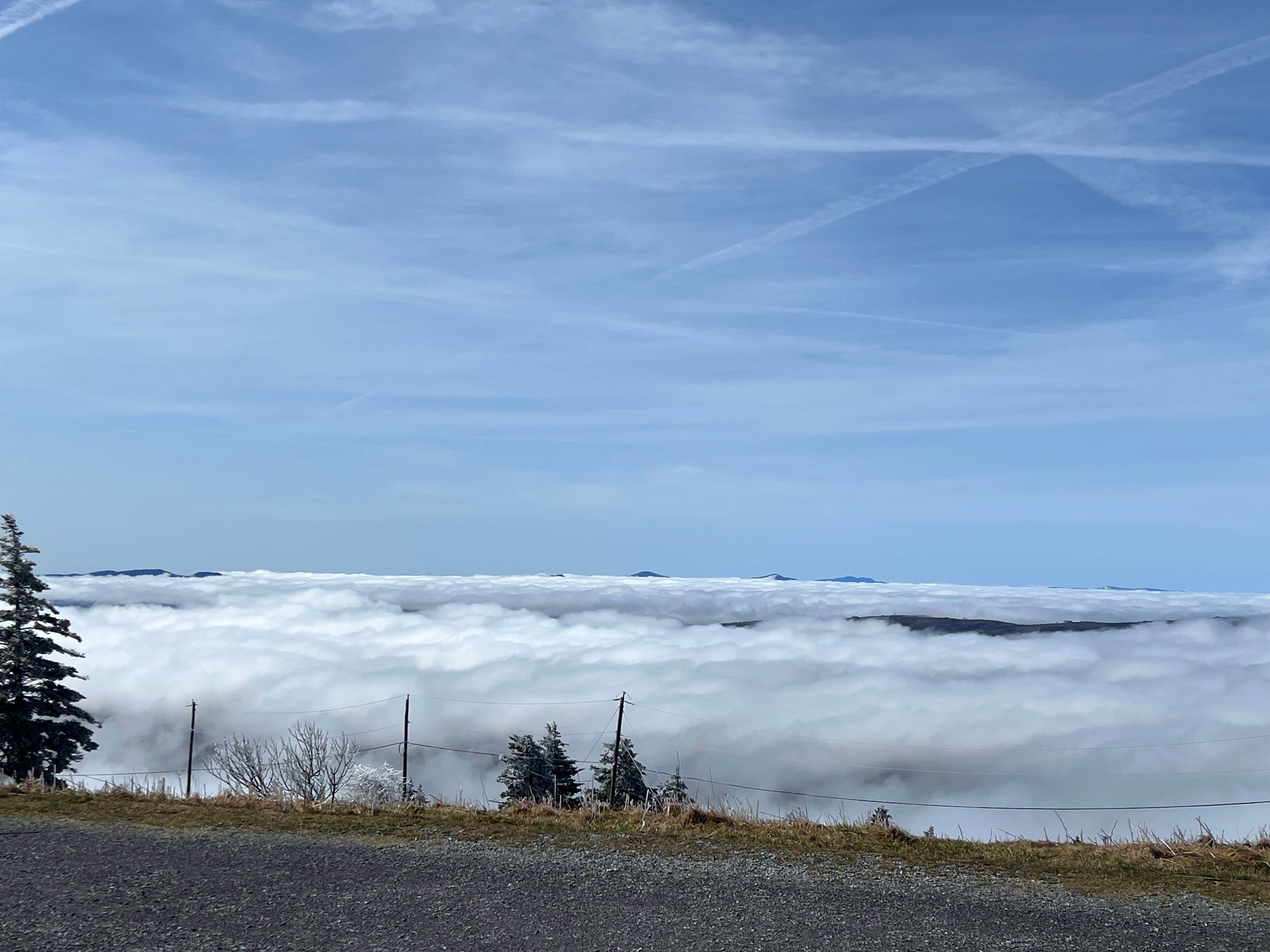 Whitney B.'s photo of a dispersed camping area at Whitetop near Bland, VA