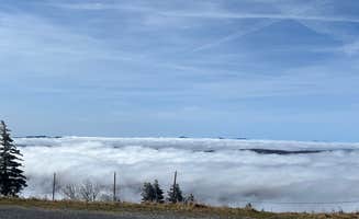 Whitney B.'s photo of a dispersed camping area at Whitetop near Lebanon, VA