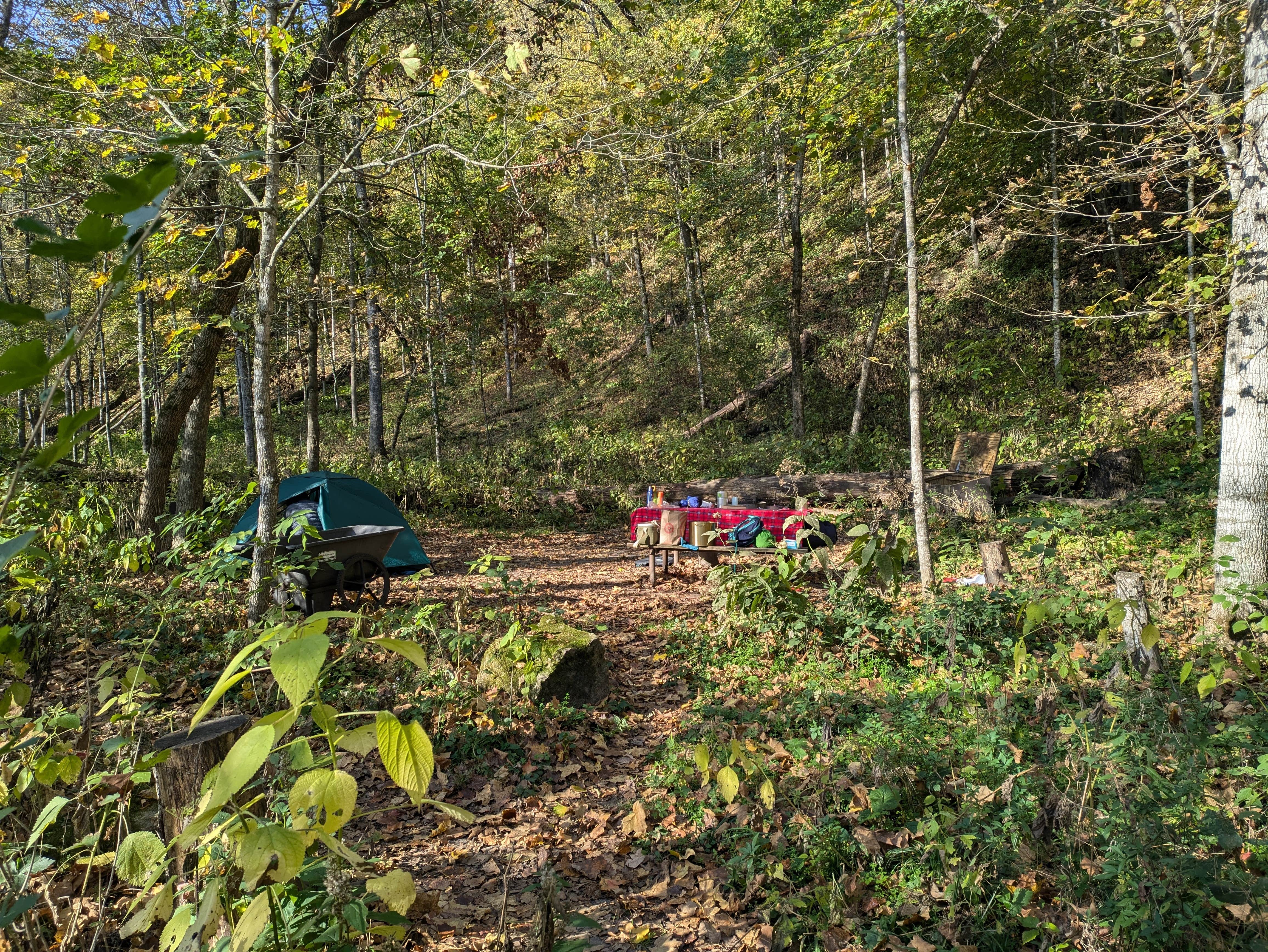 Camper-submitted photo at Gooseberry Glen Cart-in Campground — Whitewater State Park near Spring Valley, MN