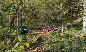 Sarah D.'s photo at Gooseberry Glen Cart-in Campground — Whitewater State Park near Byron, MN