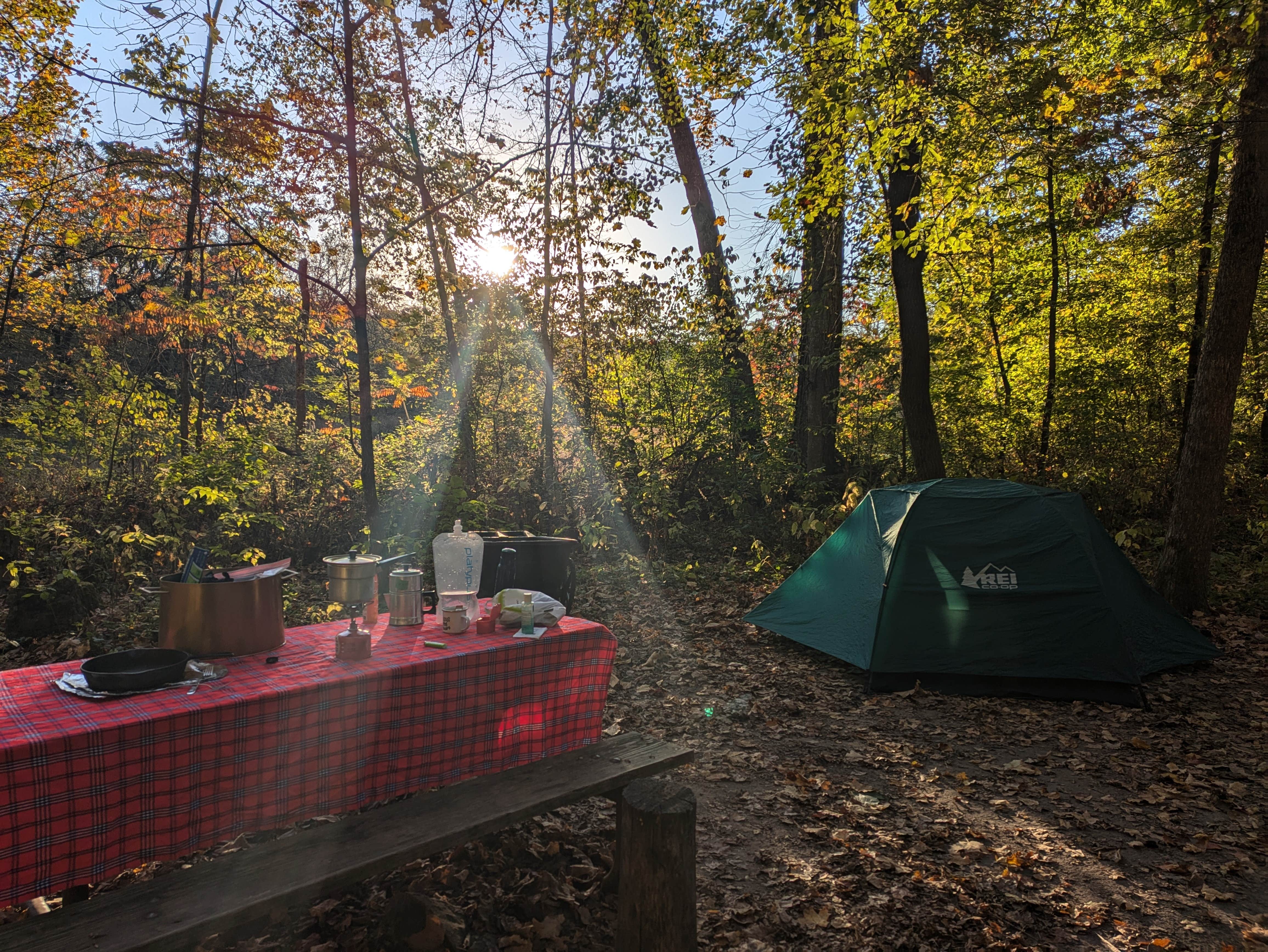 Sarah D.'s photo at Gooseberry Glen Cart-in Campground — Whitewater State Park near Alma, WI