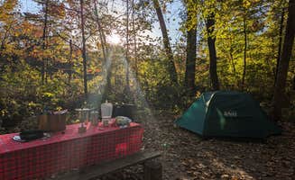 Sarah D.'s photo at Gooseberry Glen Cart-in Campground — Whitewater State Park near Rochester, MN