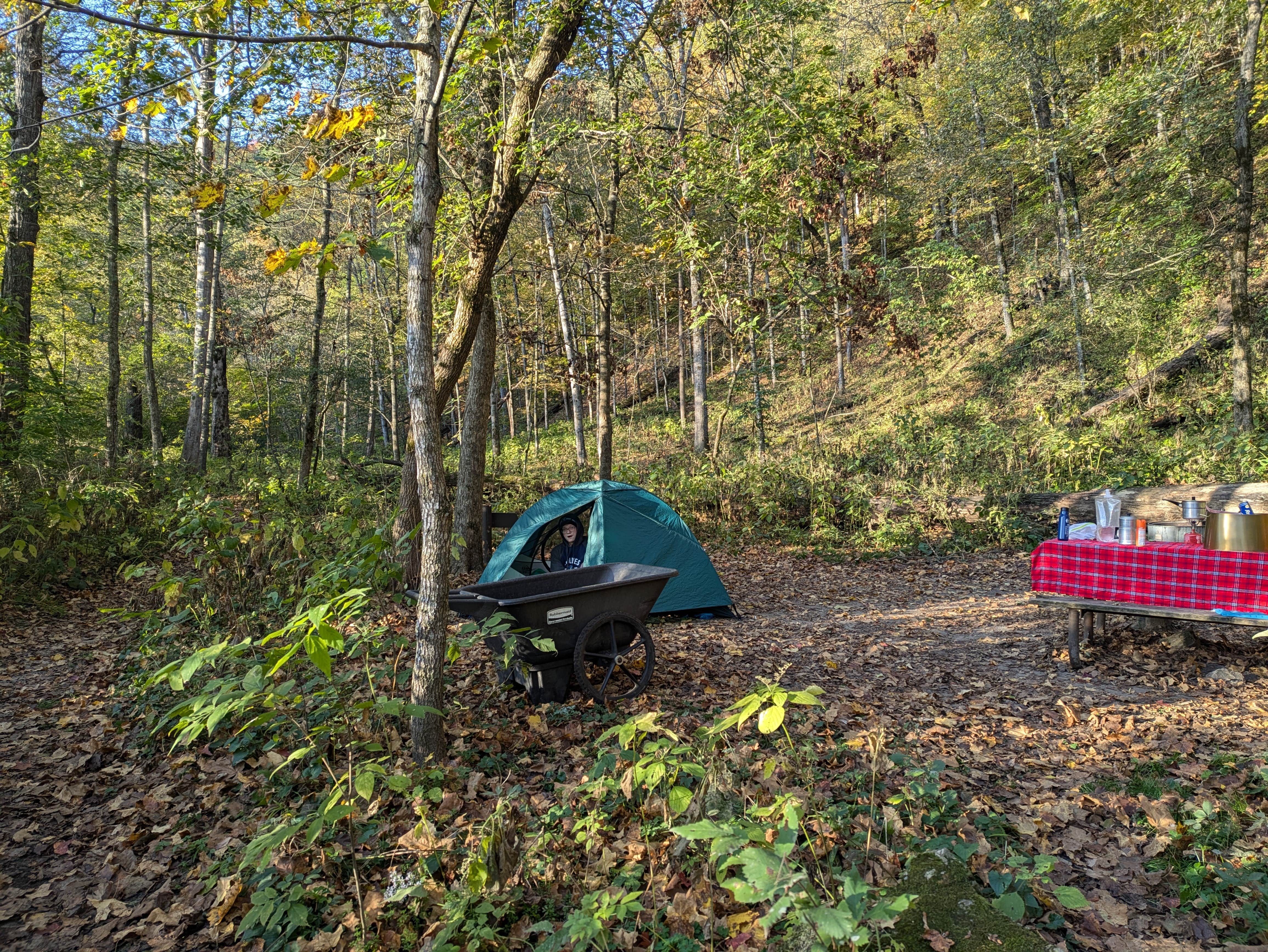 Sarah D.'s photo of tent camping at Gooseberry Glen Cart-in Campground — Whitewater State Park near Zumbrota, MN