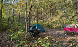 Sarah D.'s photo at Gooseberry Glen Cart-in Campground — Whitewater State Park near Rushford, MN