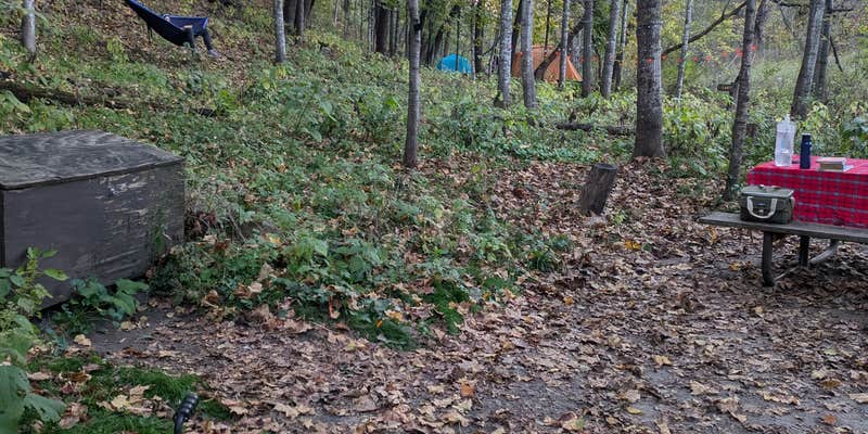 Camper submitted image from Gooseberry Glen Cart-in Campground — Whitewater State Park