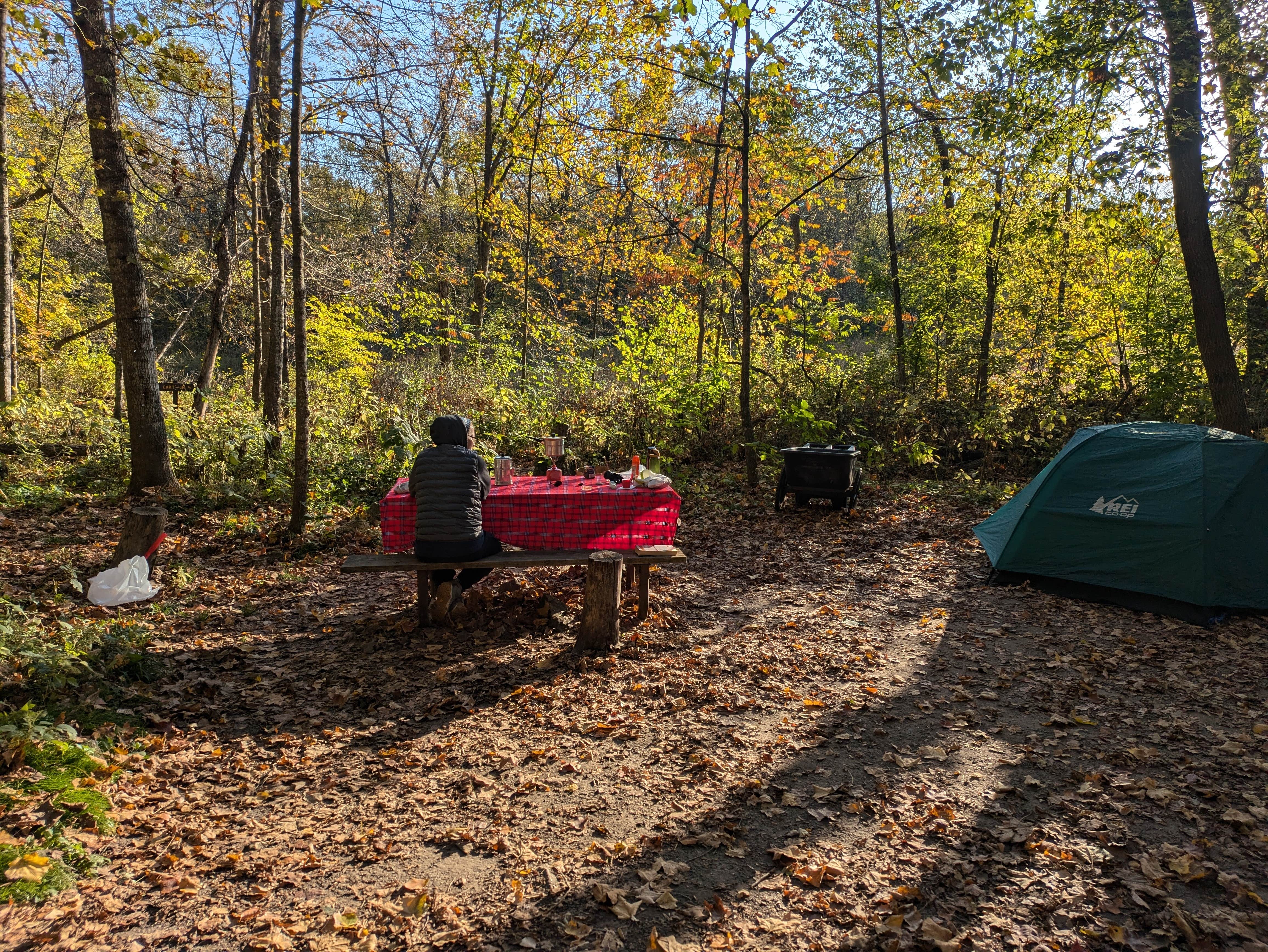 Sarah D.'s photo at Gooseberry Glen Cart-in Campground — Whitewater State Park near Alma, WI