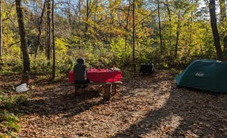 Sarah D.'s photo at Gooseberry Glen Cart-in Campground — Whitewater State Park near Rochester, MN