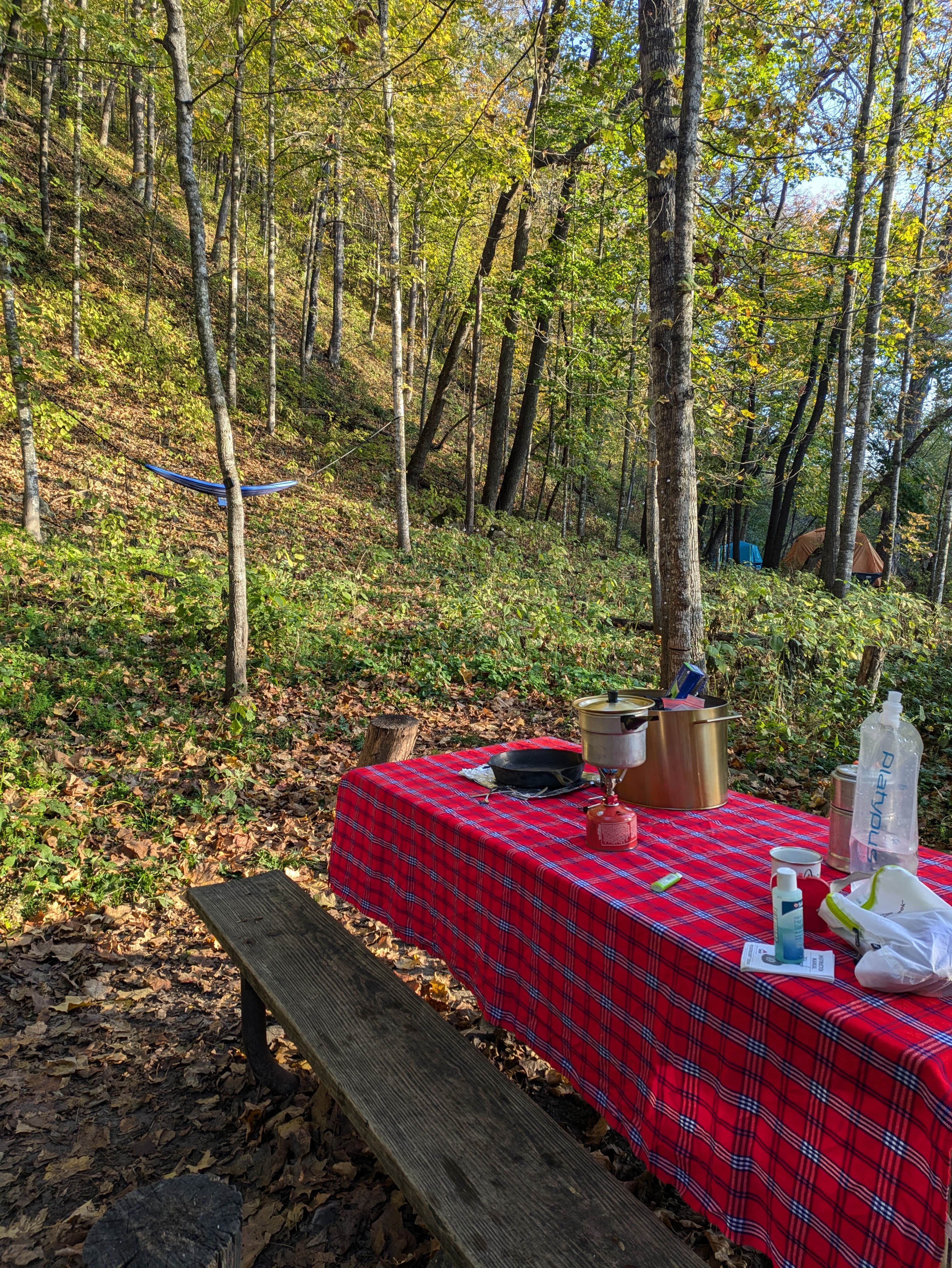 Sarah D.'s photo of tent camping at Gooseberry Glen Cart-in Campground — Whitewater State Park near Spring Valley, MN