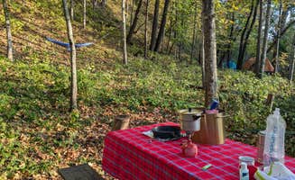 Sarah D.'s photo of tent camping at Gooseberry Glen Cart-in Campground — Whitewater State Park near Cresco, IA