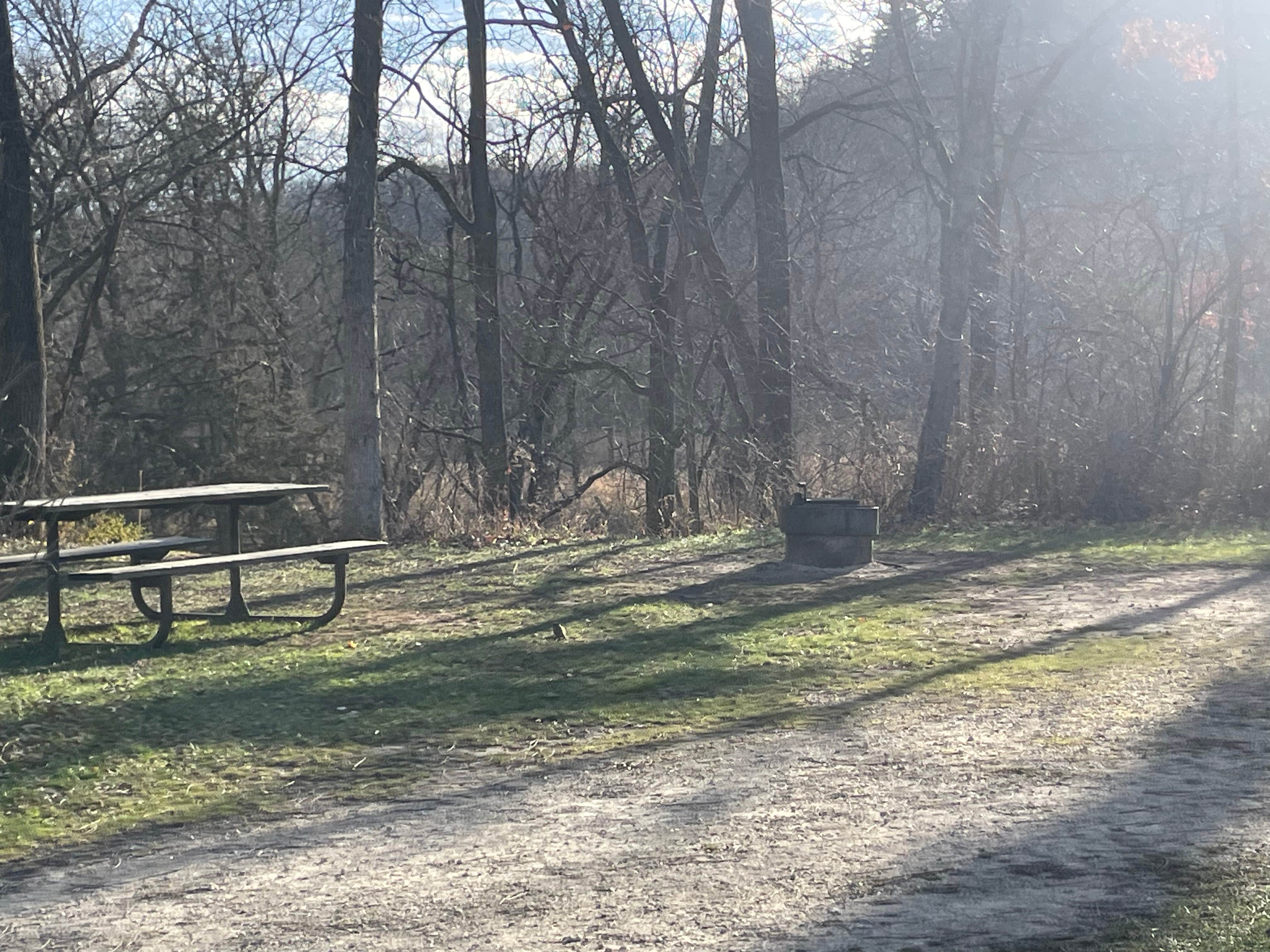 Camper-submitted photo at Cedar Hill Campground — Whitewater State Park near Elba, MN