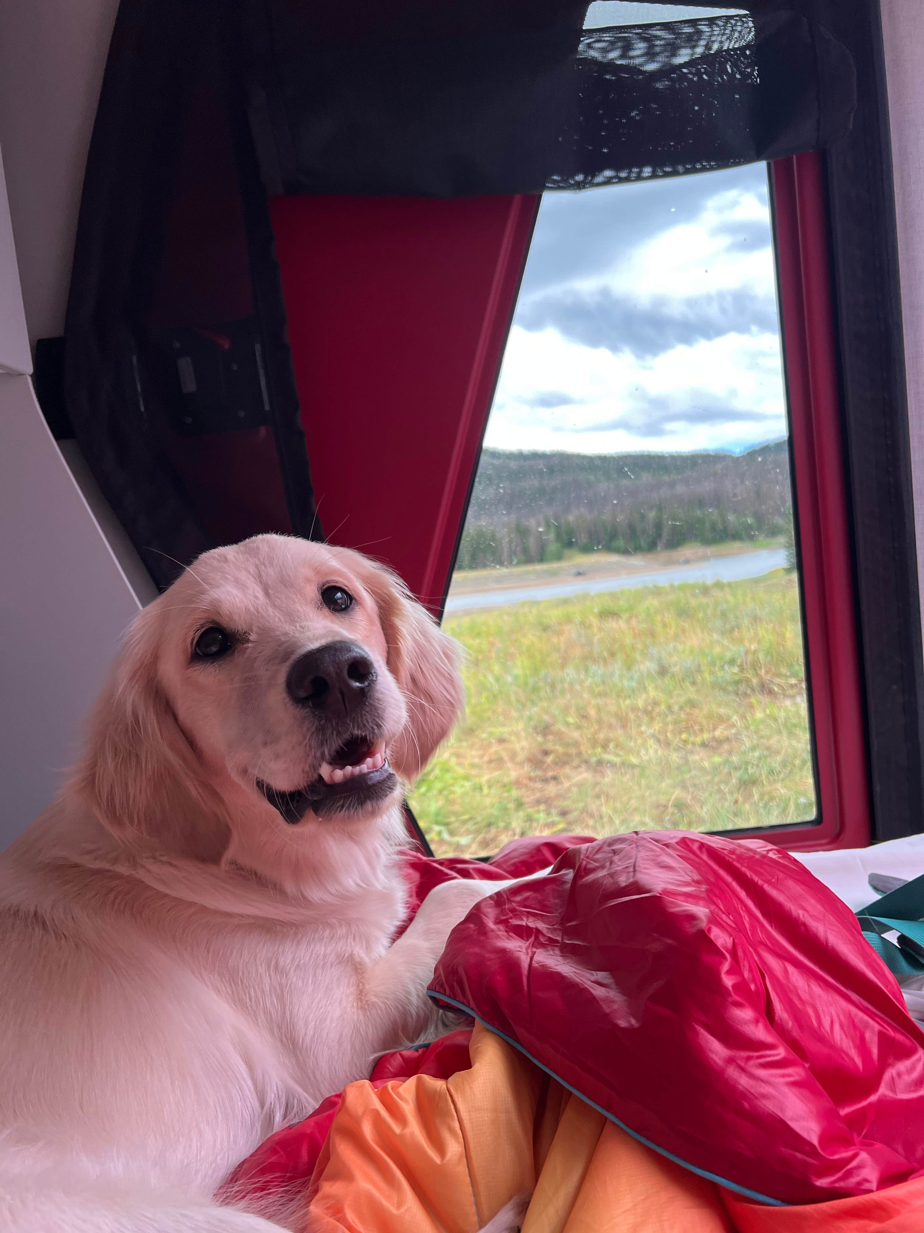 Allison G.'s photo of camping with pets at Whitney Reservoir near Evanston, WY
