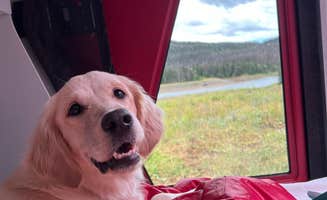 Allison G.'s photo of camping with pets at Whitney Reservoir near Coalville, UT