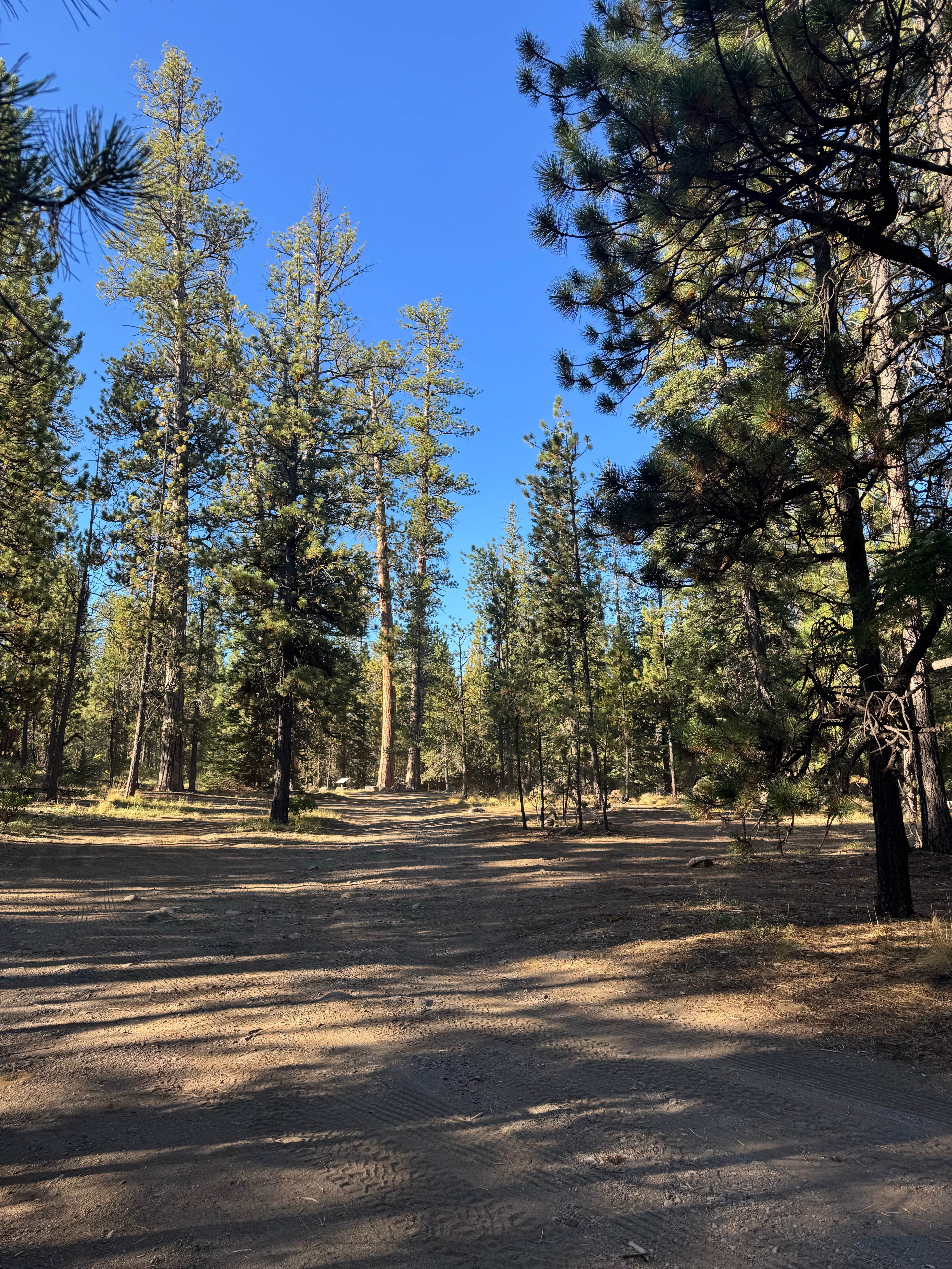 Camping near Willamette NF Dispersed near Belknap Springs: Whychus creek dispersed, Sisters, Oregon