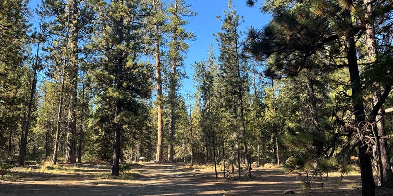 Camper submitted image from Whychus creek dispersed