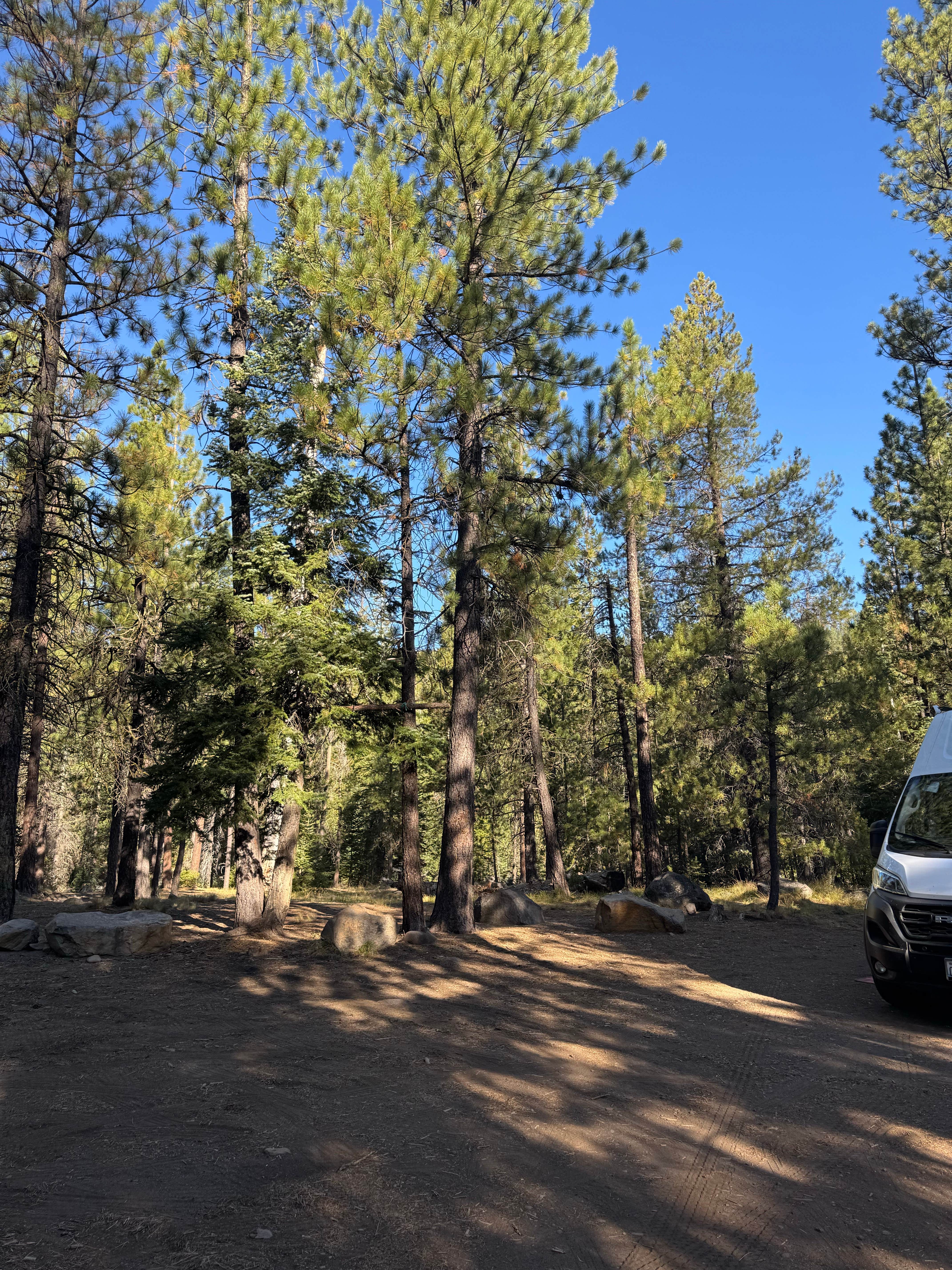 Whychus creek dispersed