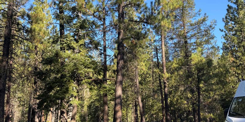 Camper submitted image from Whychus creek dispersed